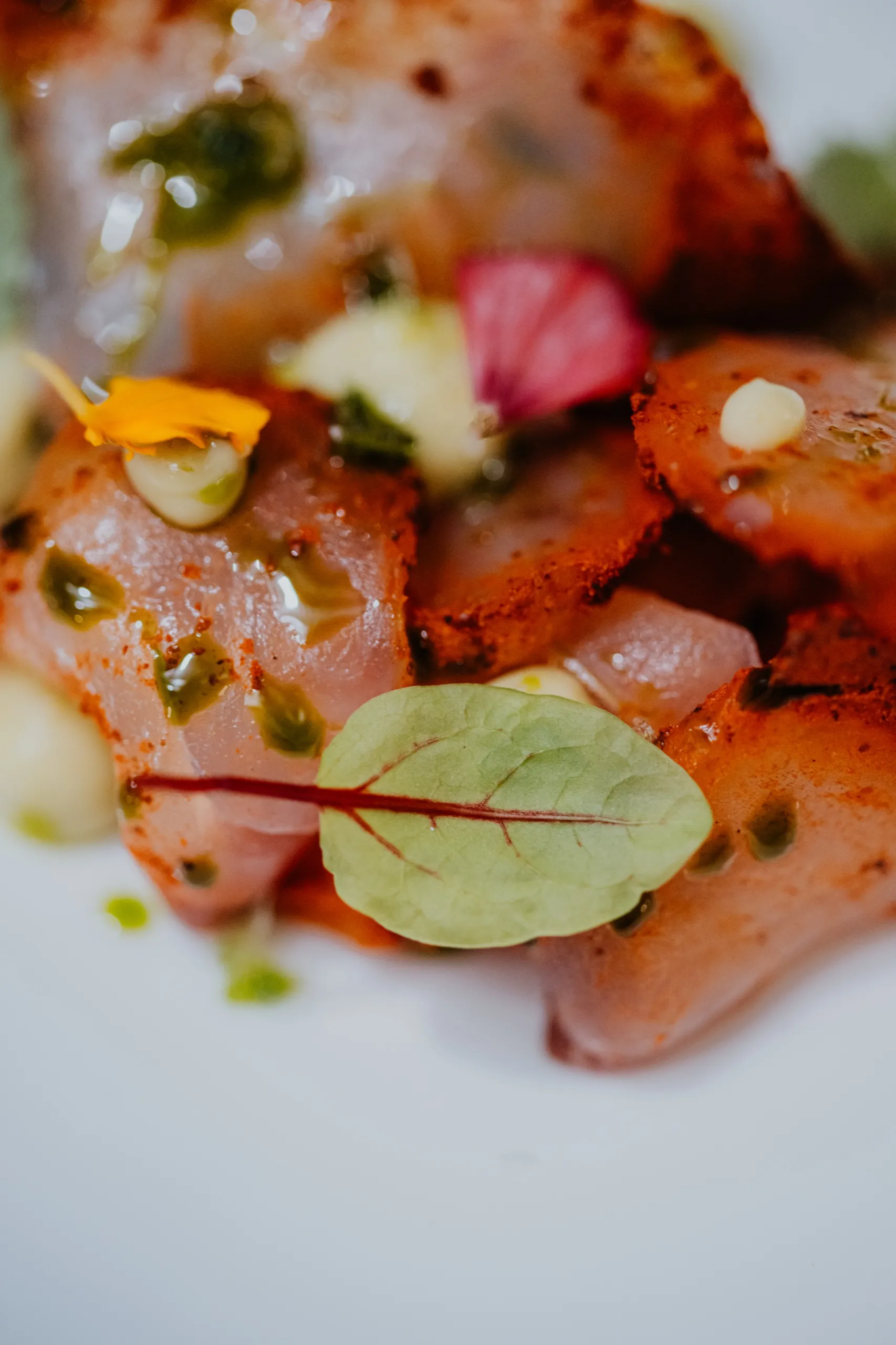 Dòmini Restaurant 16